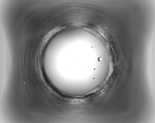 X0000084540193200703161634