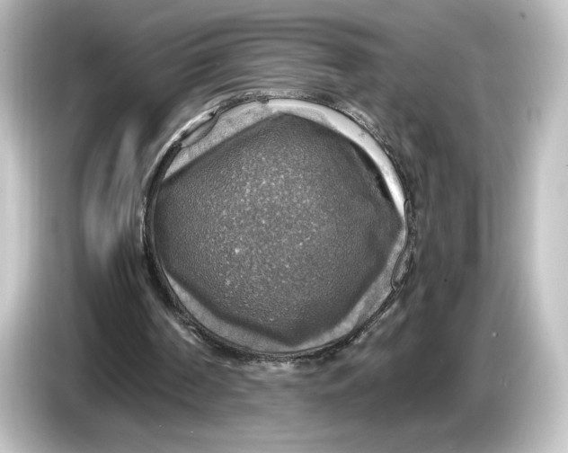 X0000084540194200703161634