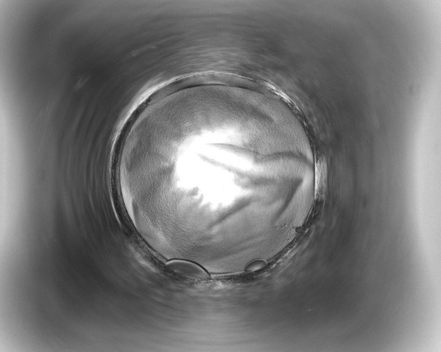 X0000084540195200703161634