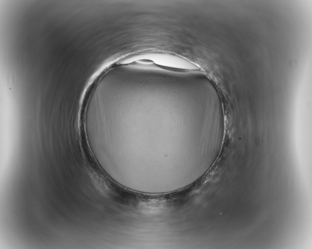 X0000084540196200703161634