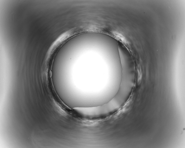 X0000084540197200703161634