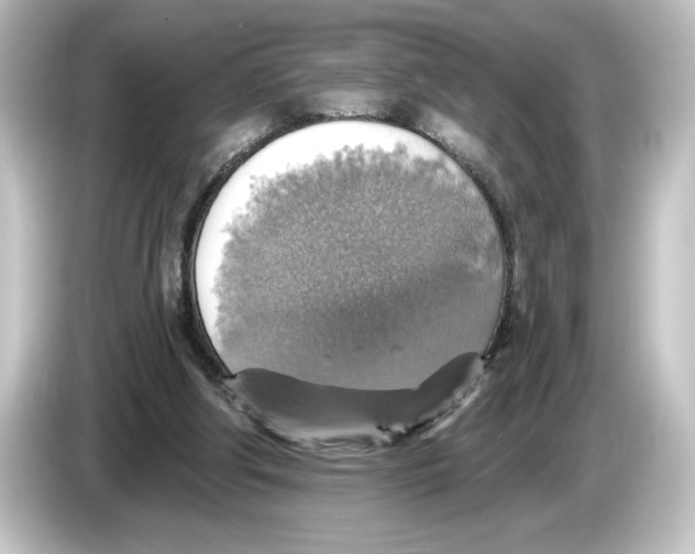 X0000084540202200703161634