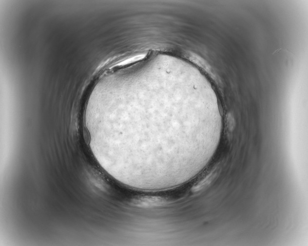 X0000084540203200703161634