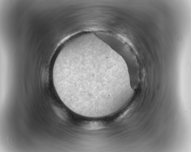 X0000084540204200703161634