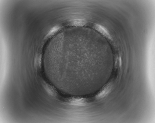 X0000084540206200703161634