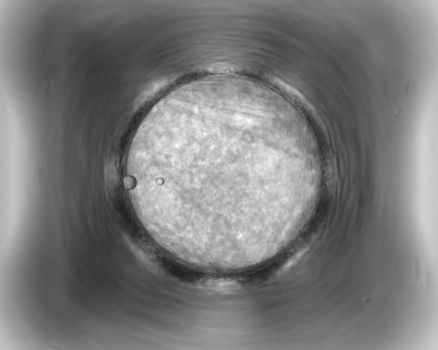 X0000084540208200703161634