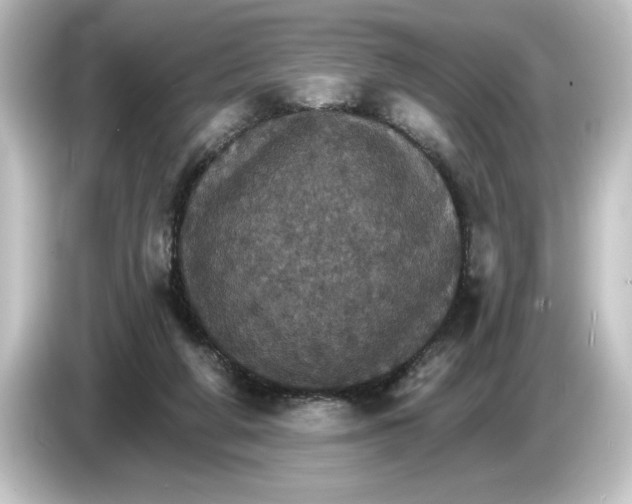 X0000084540210200703161634