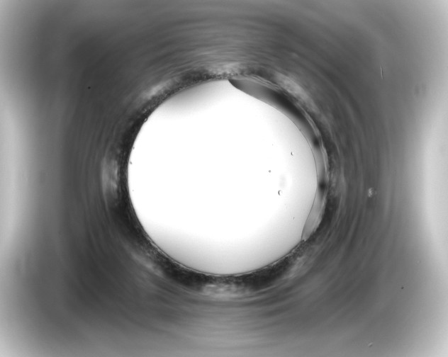 X0000084540211200703161634