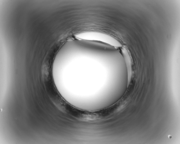 X0000084540215200703161634