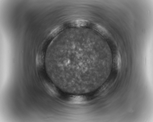 X0000084540218200703161634