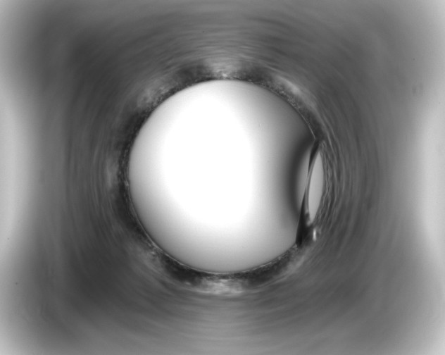 X0000084540221200703161634