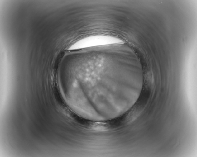 X0000084540222200703161634