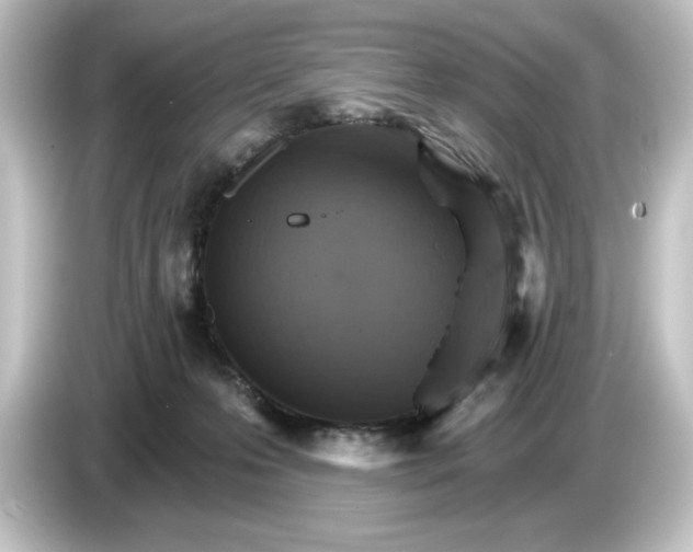 X0000084540223200703161634