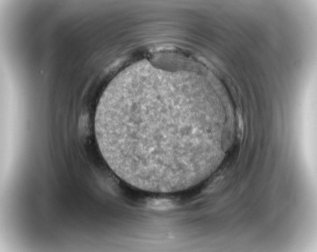 X0000084540224200703161634