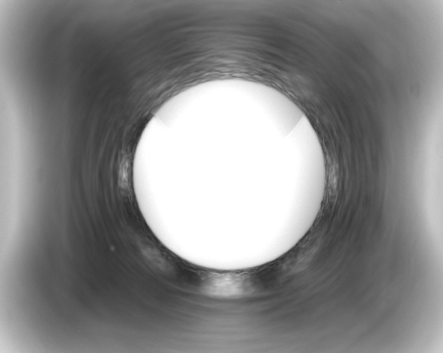 X0000084540226200703161634