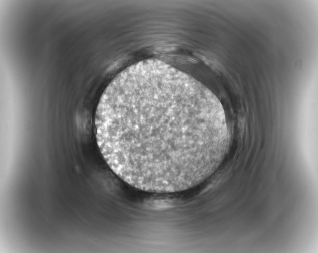 X0000084540228200703161634