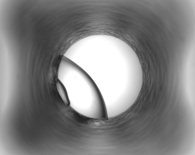 X0000084540229200703161634