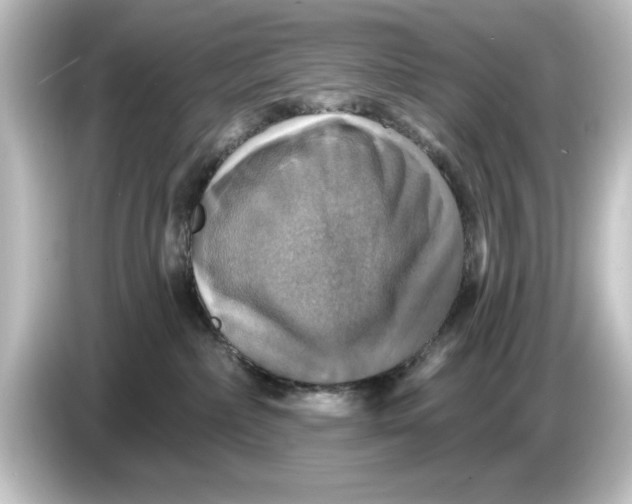 X0000084540236200703161634