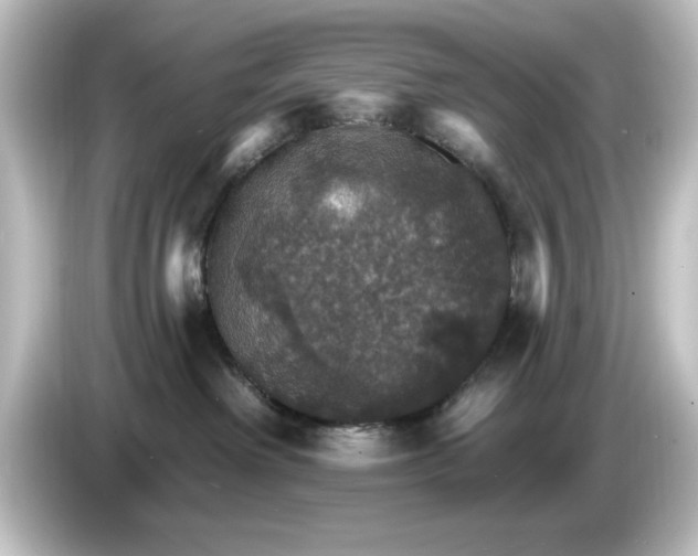 X0000084540238200703161634