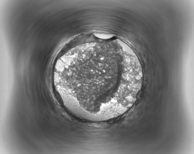 X0000084540241200703161633