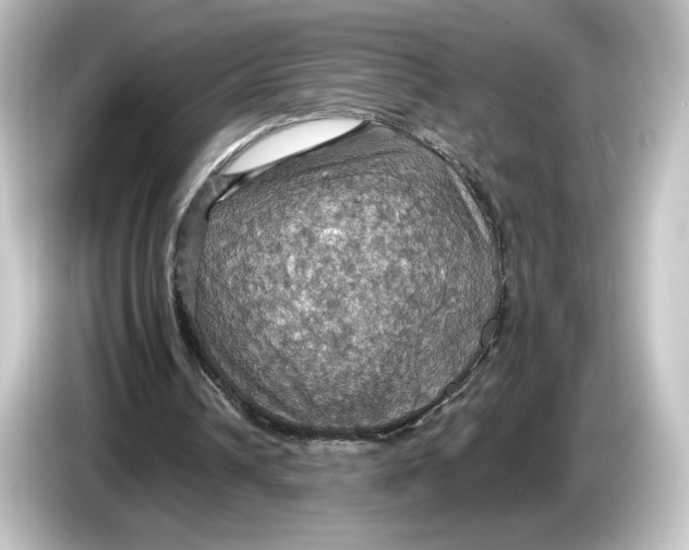 X0000084540242200703161633