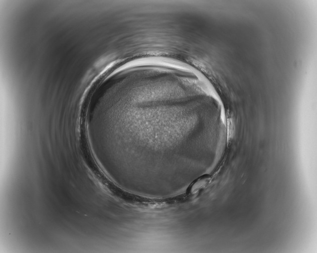 X0000084540243200703161633