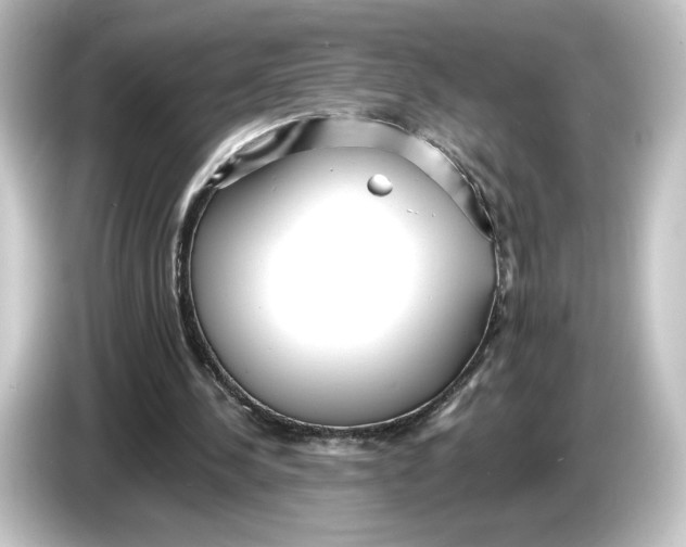 X0000084540244200703161633