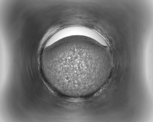 X0000084540245200703161633