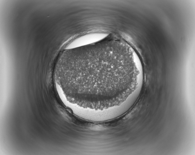 X0000084540249200703161633