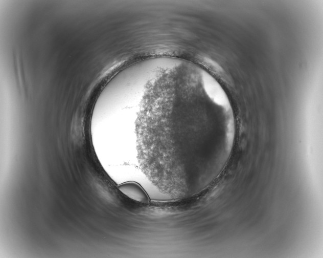 X0000084540250200703161633