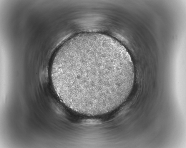 X0000084540251200703161633