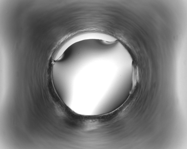 X0000084540252200703161633