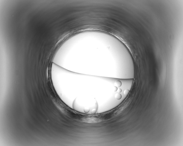 X0000084540253200703161633