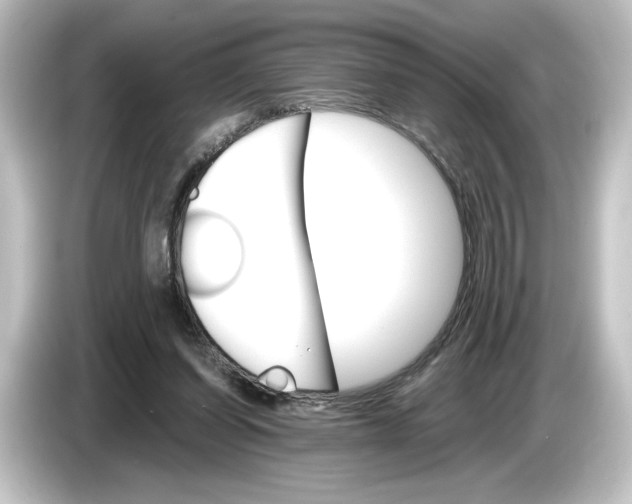 X0000084540254200703161633