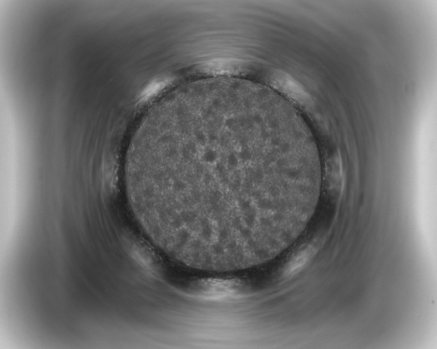 X0000084540255200703161633