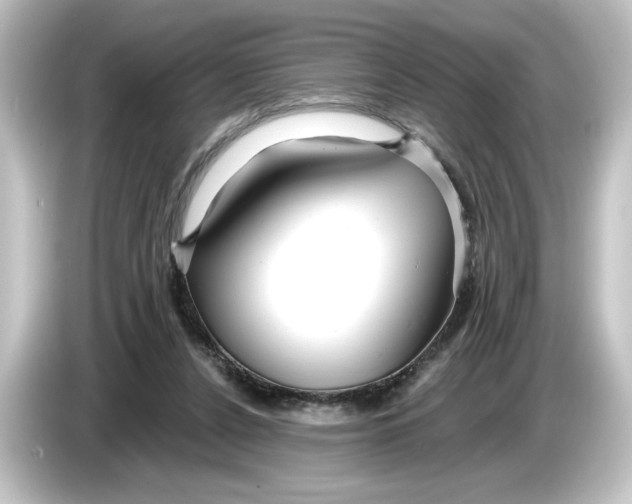 X0000084540256200703161633