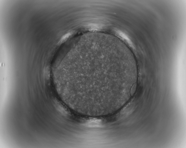 X0000084540257200703161633