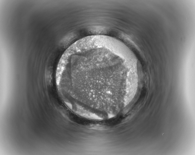 X0000084540259200703161633