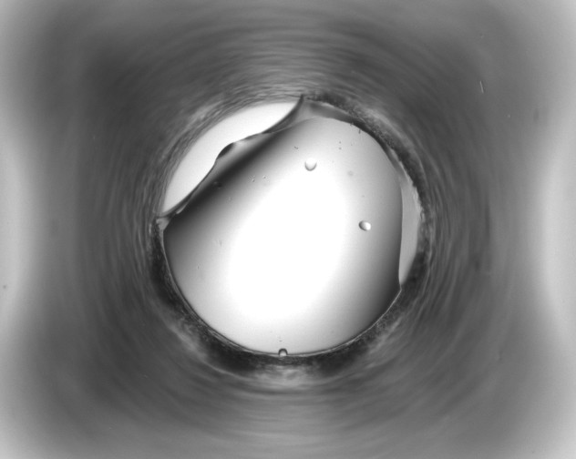 X0000084540260200703161633