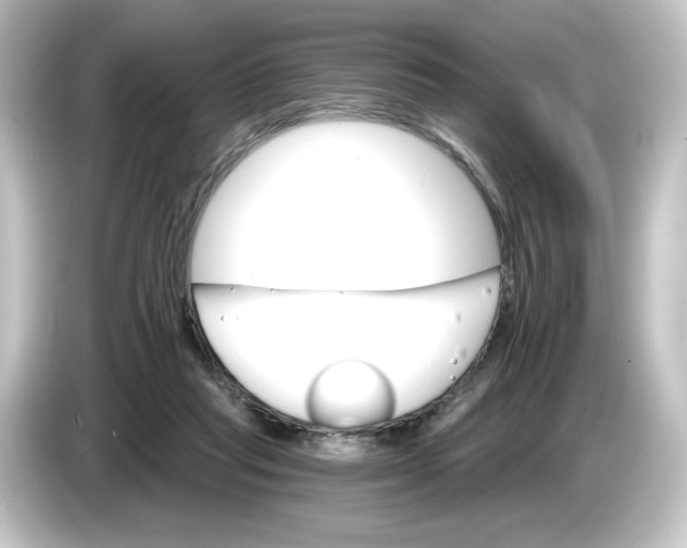 X0000084540261200703161633