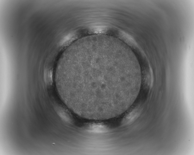 X0000084540262200703161633