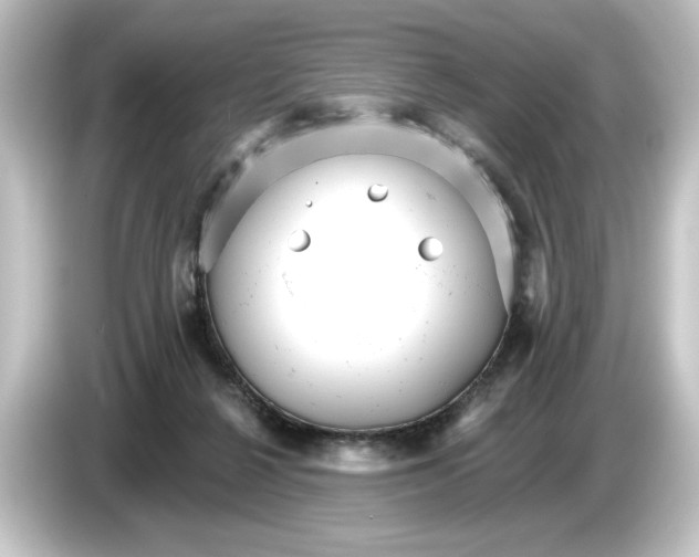 X0000084540264200703161633