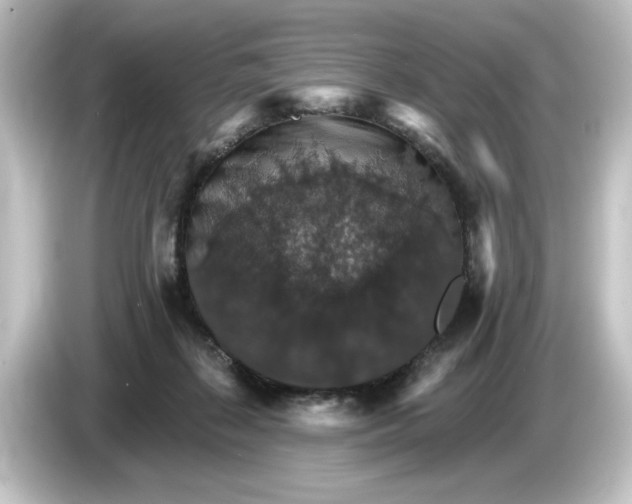 X0000084540267200703161633