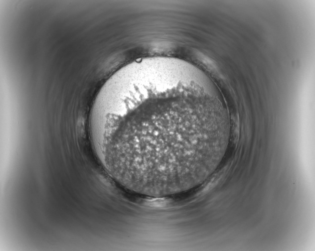 X0000084540269200703161634