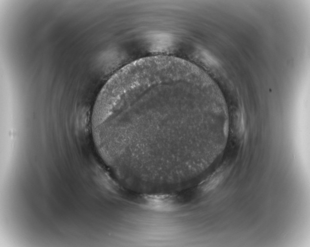 X0000084540273200703161634