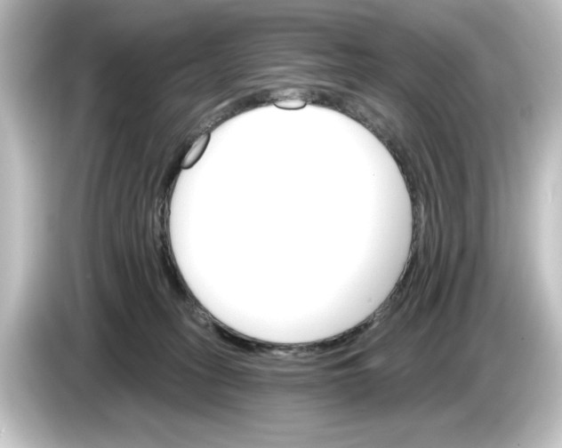 X0000084540275200703161634