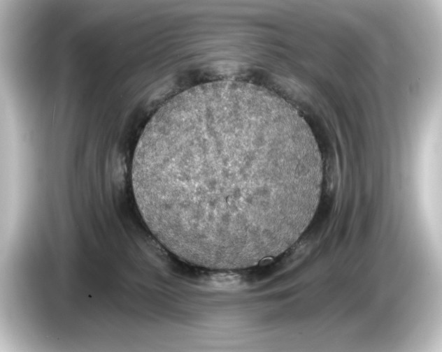 X0000084540279200703161634