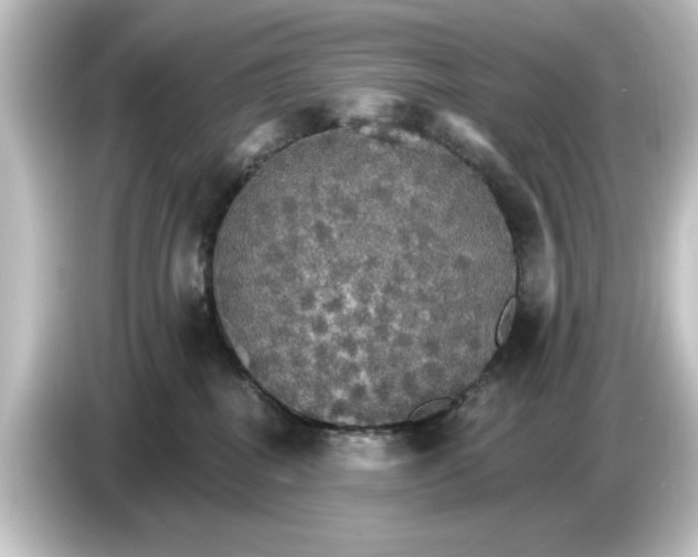 X0000084540282200703161634