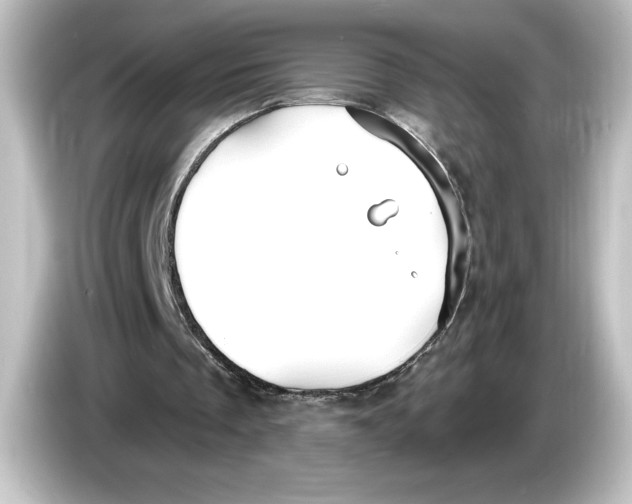 X0000084540289200703161633