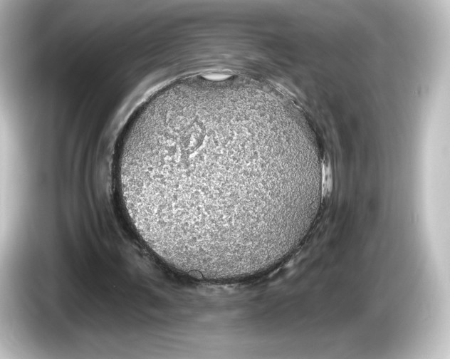 X0000084540291200703161633